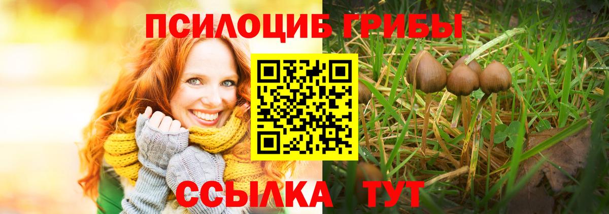 Галлюциногенные грибы GOLDEN TEACHER Юрга